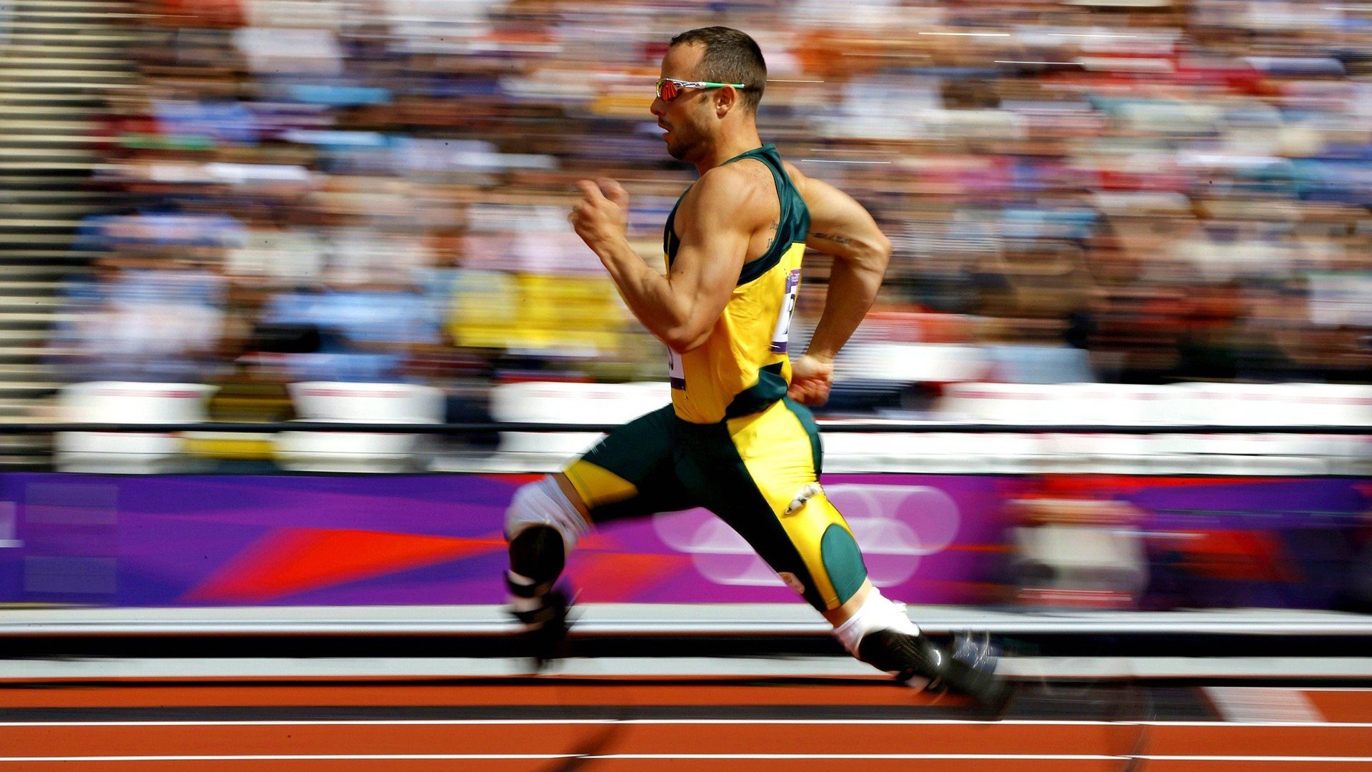 善意与温情：西贝店长暖心行为引发网友热议，西贝餐饮老板是谁